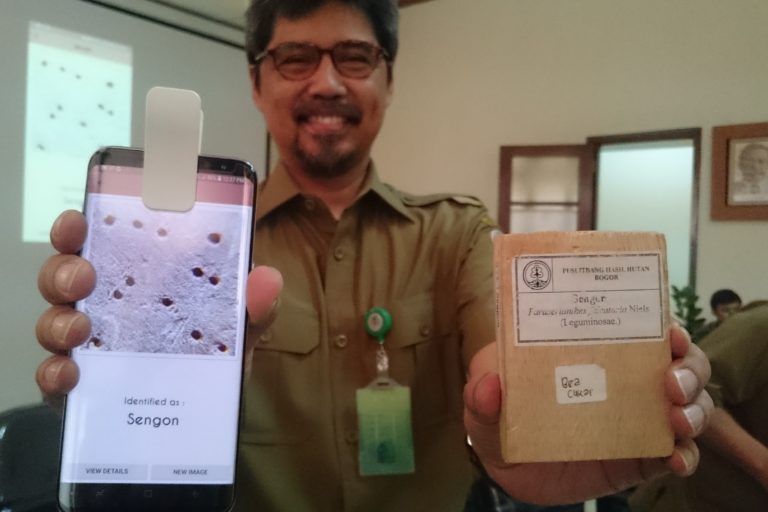 Indonesia Punya Perpustakaan Kayu
